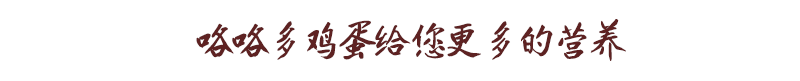 咯咯多鸡蛋给您更多的营养